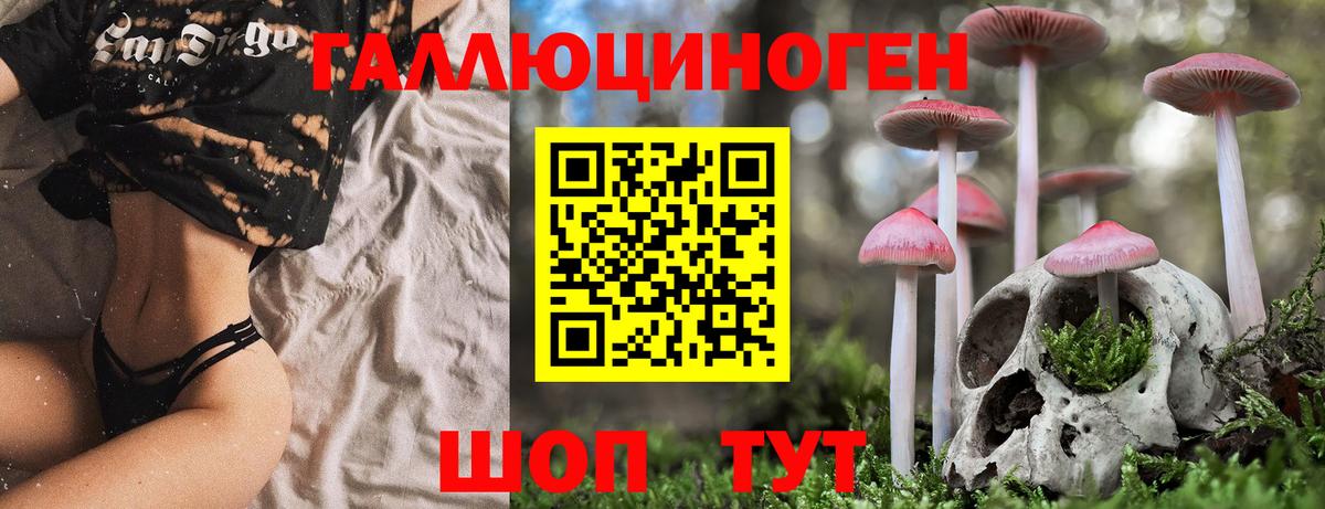 Галлюциногенные грибы MAGIC MUSHROOMS  Галлюциногенные грибы GOLDEN TEACHER  Вход с VPN  Чистополь 